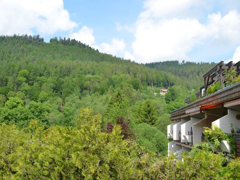 Ferienwohnung Bad Wildbad