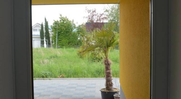 foto30