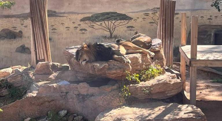 foto43