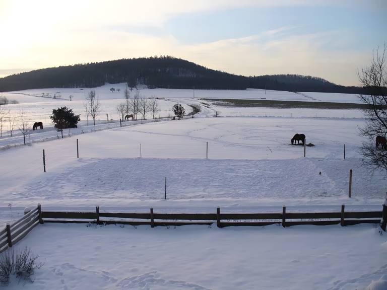foto14