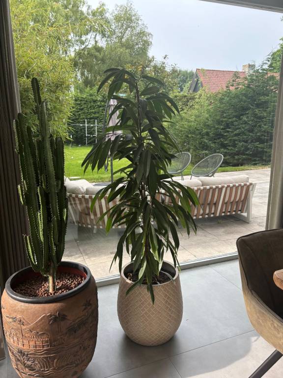 foto25