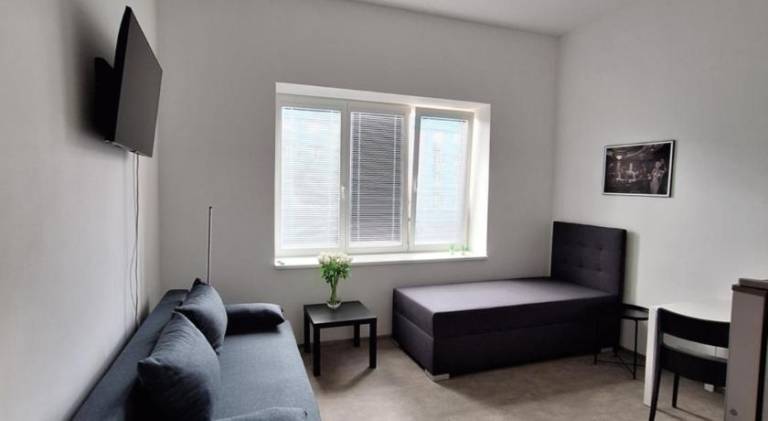 Rental apartment | Pets are welcome — photo 2