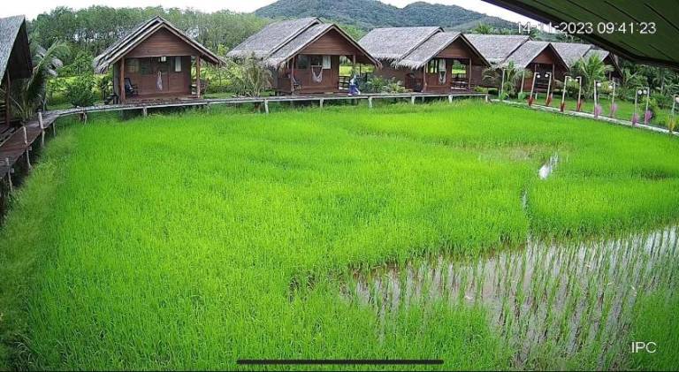 Ferienhaus Ko Yao Noi