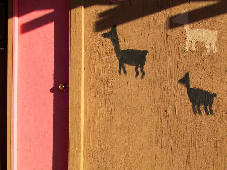 Atacama Roots Hostel — photo 5
