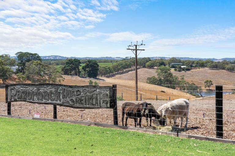 Cabin  Strathalbyn