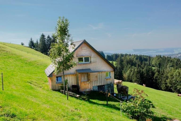 foto17