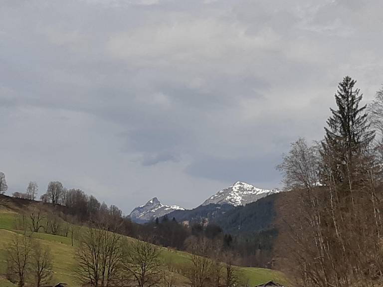 foto2