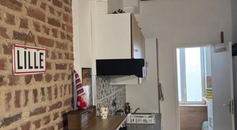 Holiday apartment | Close to Palais des Beaux-Arts de Lille | Pets are welcome — photo 4