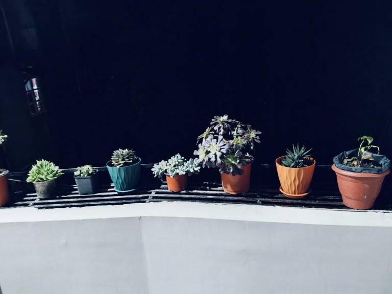 foto43