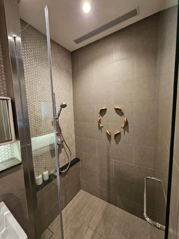 foto36