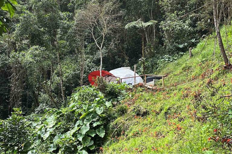 foto12