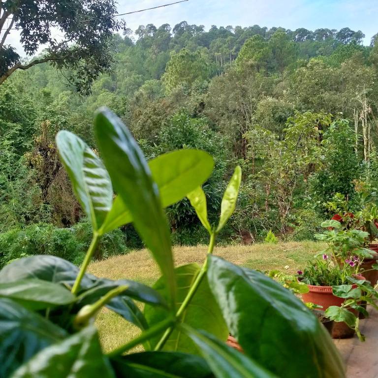 foto10