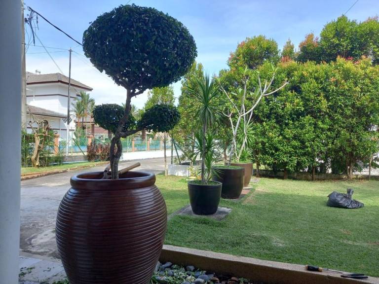 foto13