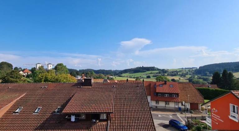Pension Hauber - Hotzenwaldblick — photo 2
