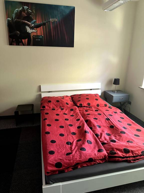 foto10