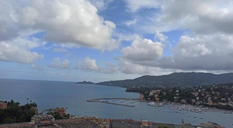 Lovely rental apartment | Pets allowed in Rapallo
