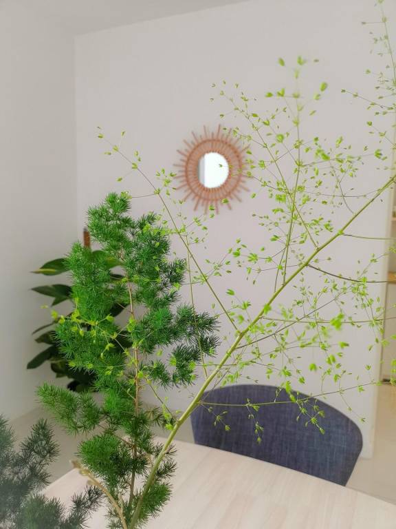foto20