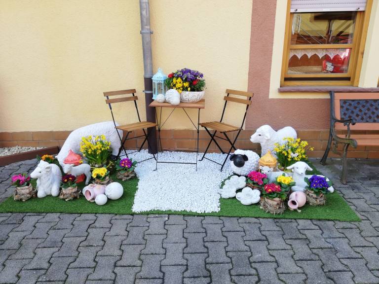 foto5