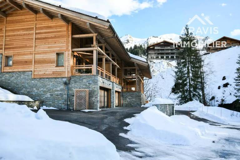 Chalet Thorens-Glières