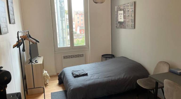 Lovely holiday apartment | Pets are welcome in Lyon