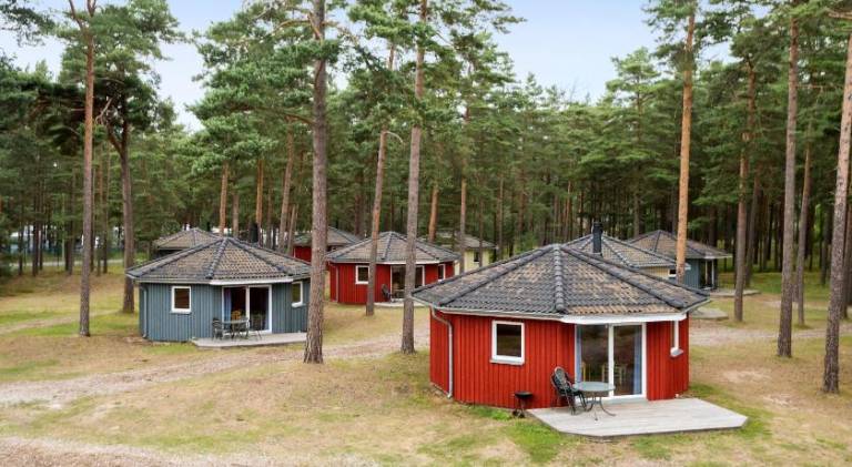 First Camp Ahus-Kristianstad — photo 5