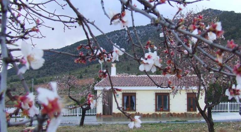 House with BBQ, yard & terrace in Granada
