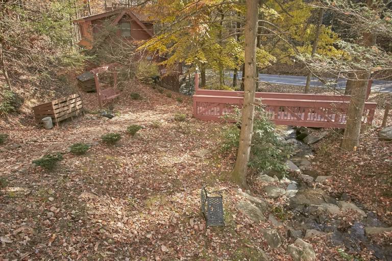 Pet paradise Affordable scenic — photo 5