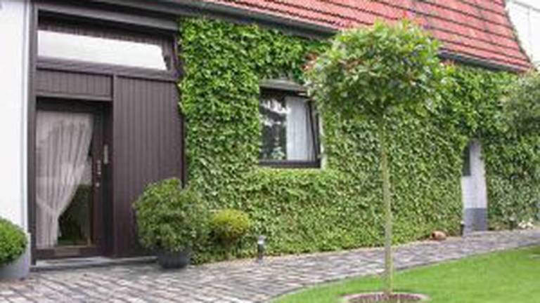Ferienwohnung Borghorst