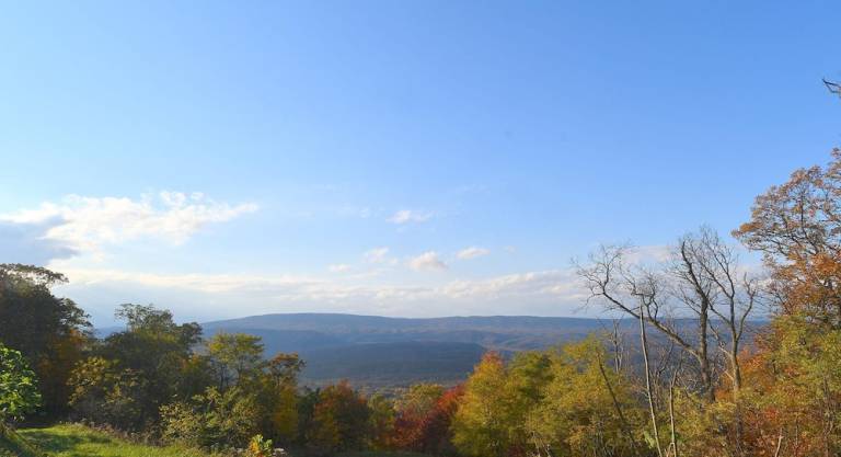 Cabin  Great Cacapon