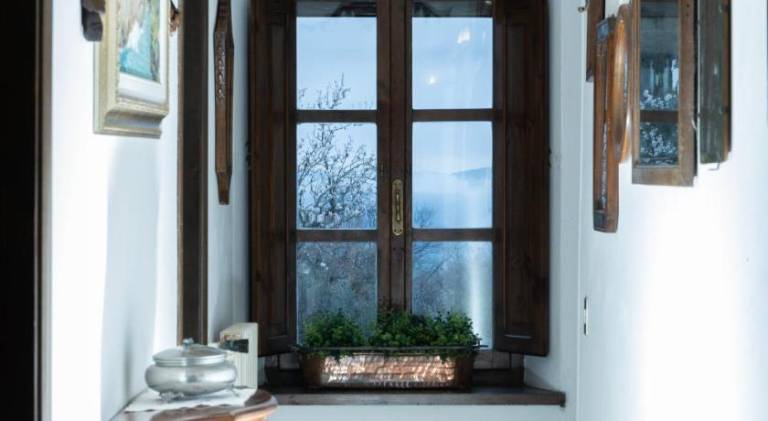 Pleasant house with patio | Pet-friendly — photo 4