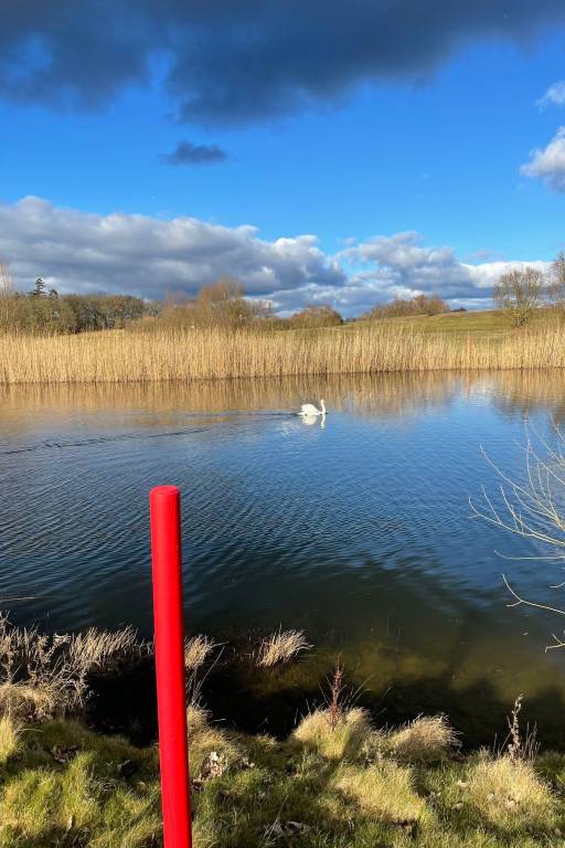 Ferienhaus mit Hund in Untergöhren, Fleesensee f&uuml;r max. 5 Personen