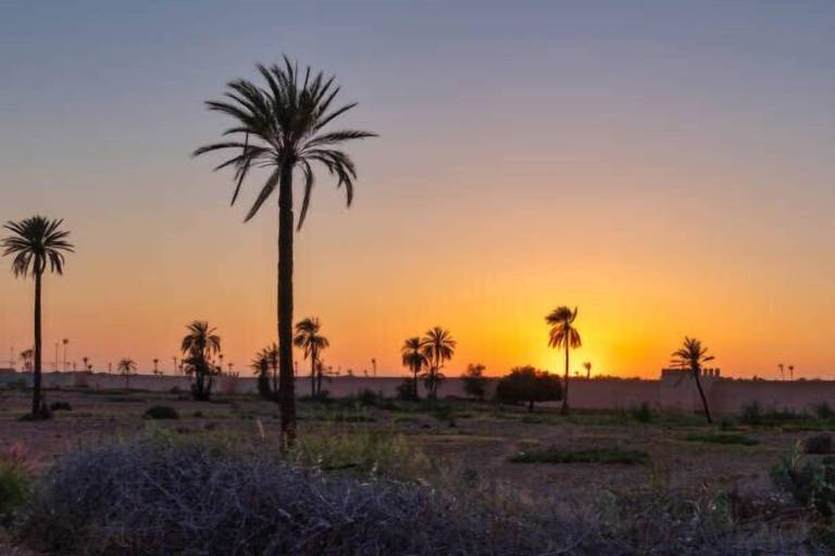 Villa  Marrakesh