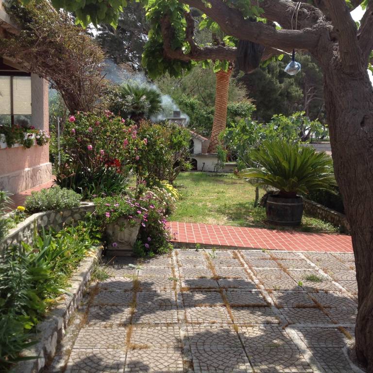 foto8