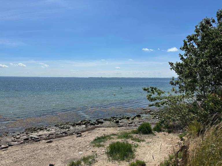 foto17