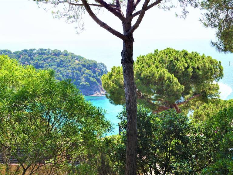 Lovely villa with garden, pool & terrace | Sea view | Next to the beach | Dogs allowed — photo 3