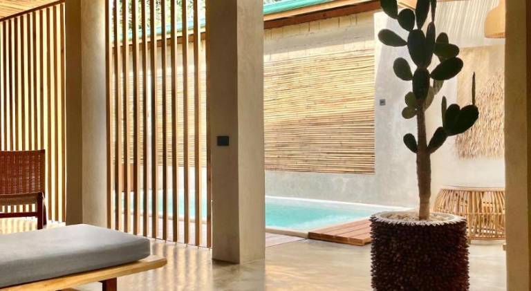 Villa with pool — photo 4