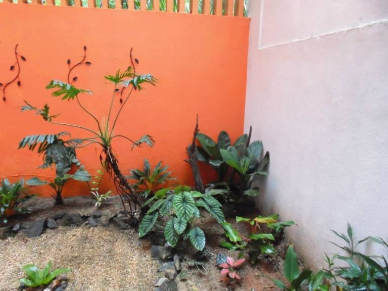 foto9