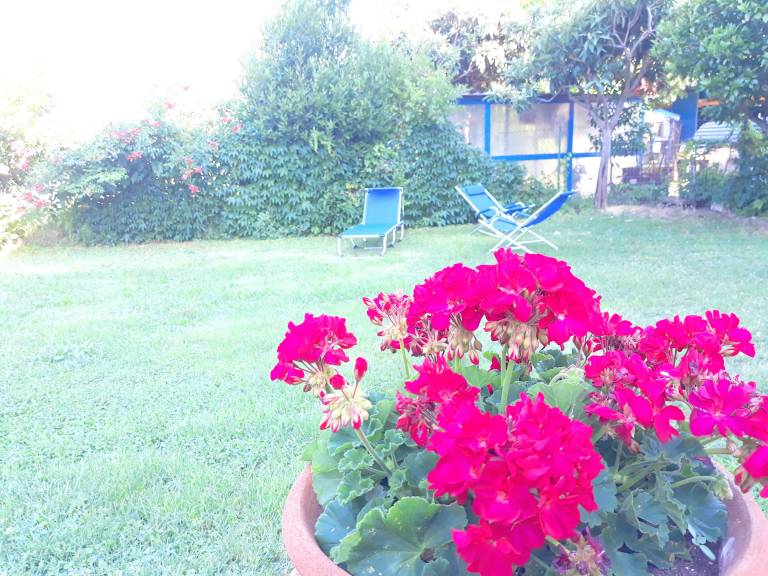foto10