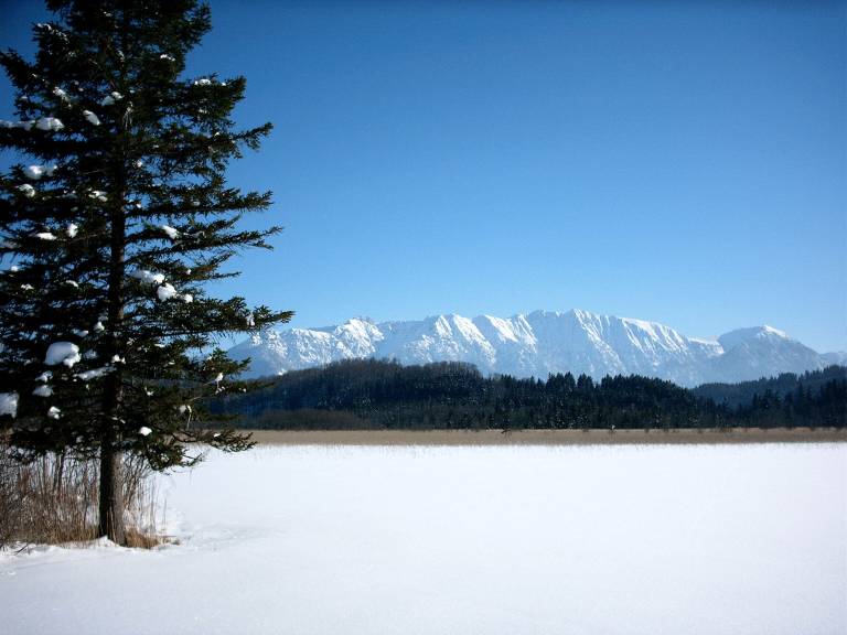 foto15