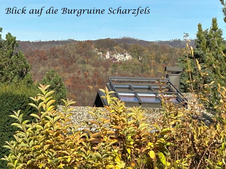 Vacation home with yard, barbeque & terrace — photo 4