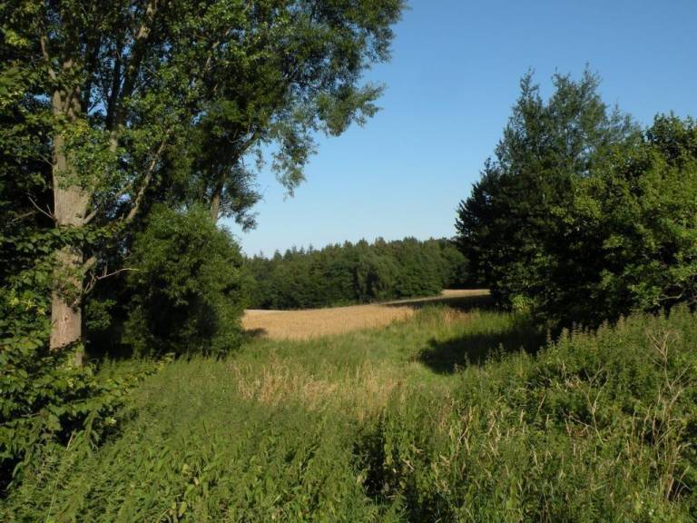 foto21