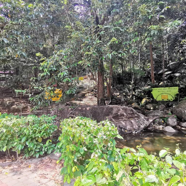 foto15