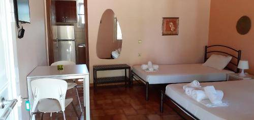 foto11