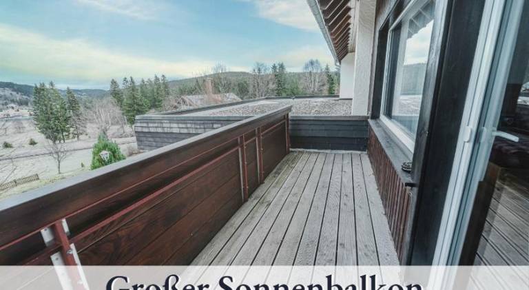 Forsters Schwarzwald Pension — photo 4