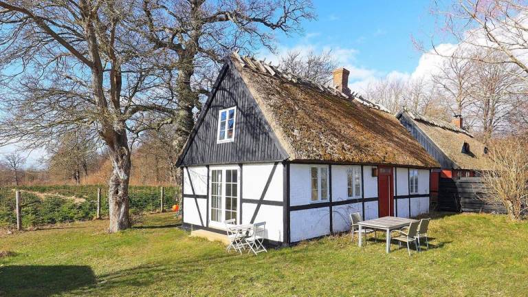 Ferienhaus  Mosebølle