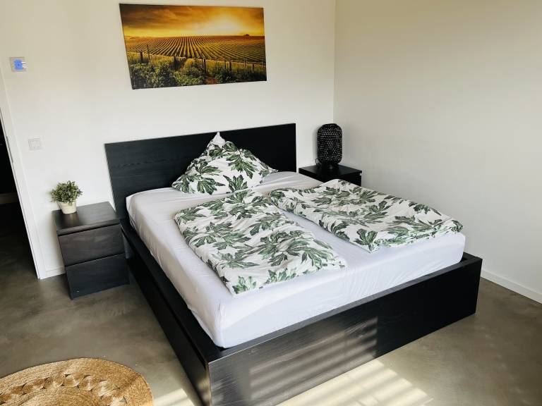 Ferienwohnung Geisenheim