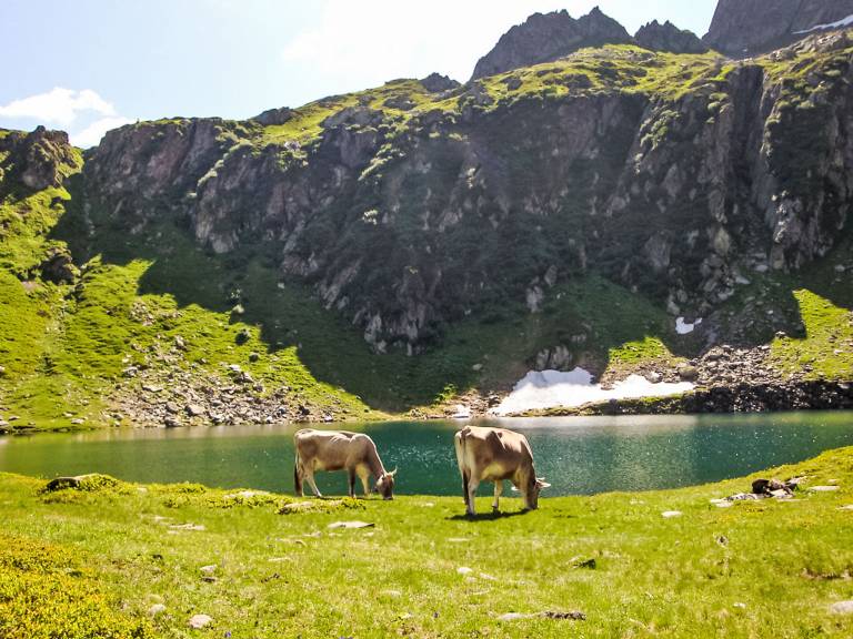 Ferienwohnung Vergeletto