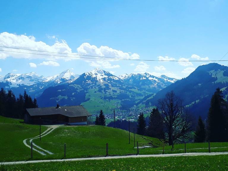 Appartement Zweisimmen
