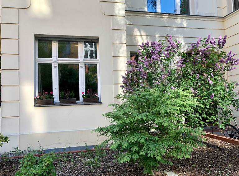foto11