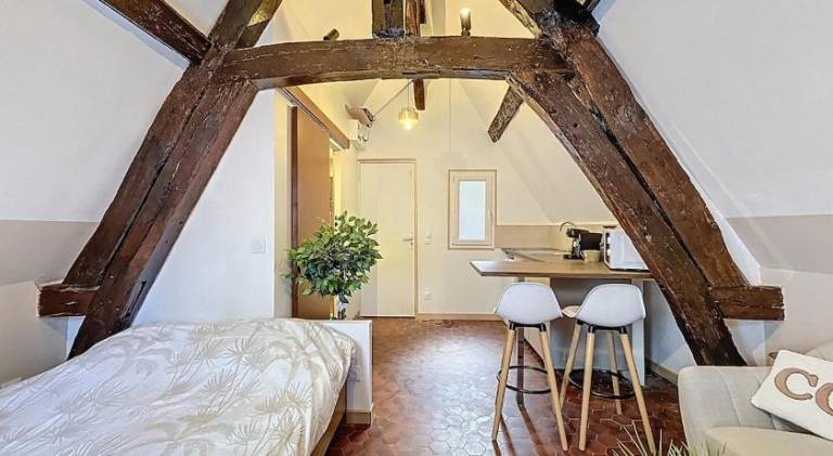 Apartment with 1 room for 2 persons in Rouen